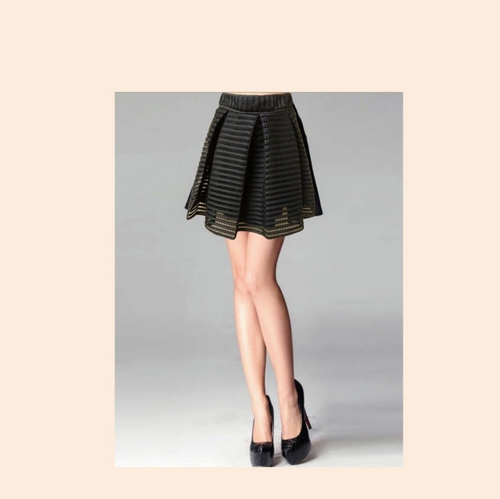 Endless Rose Flared Skirt